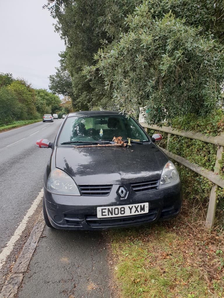 Ellen Softley tweet media