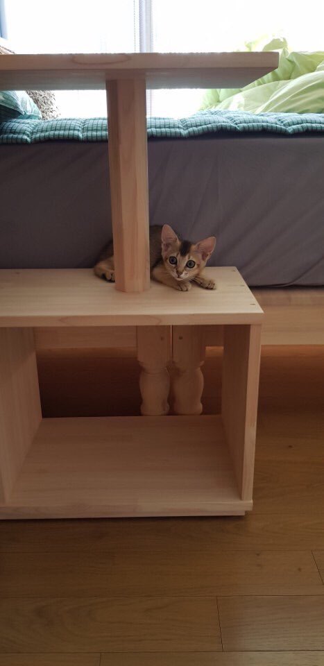 A look of the Kang’s household