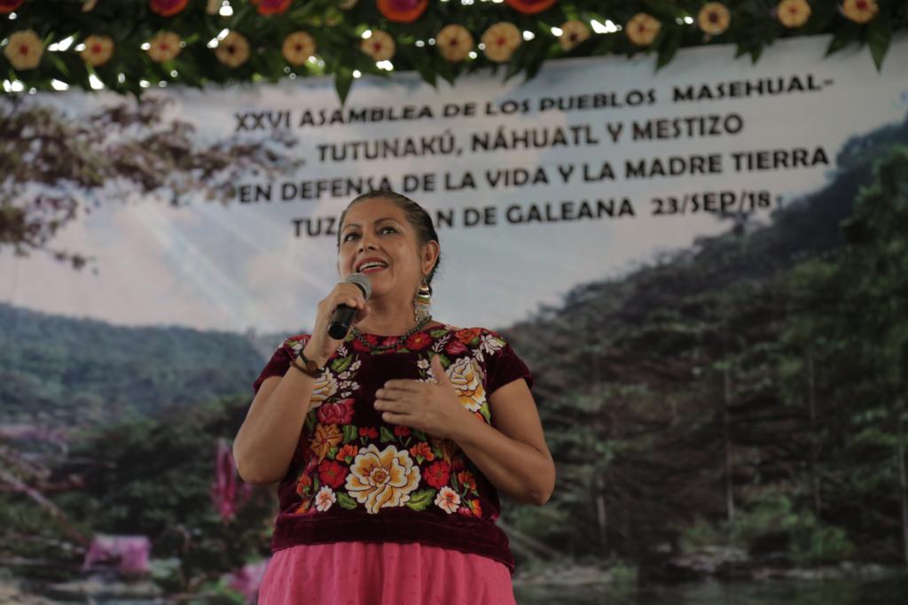 Amnistía Int. México tweet media