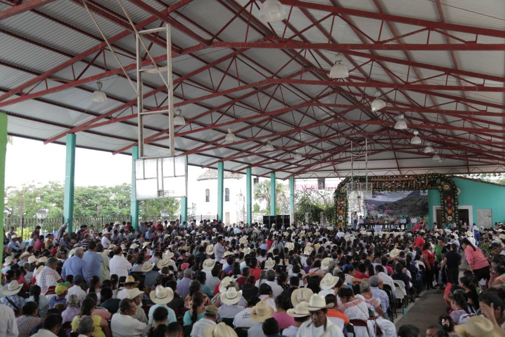 Amnistía Int. México tweet media