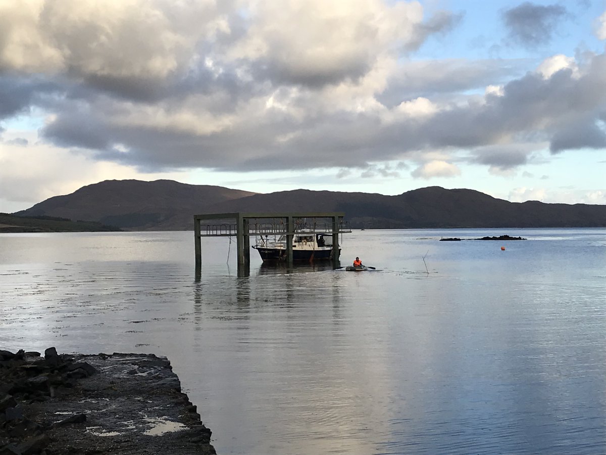 Skye Puffins Whales tweet media