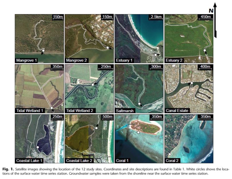 Dr. Jackie Webb tweet media