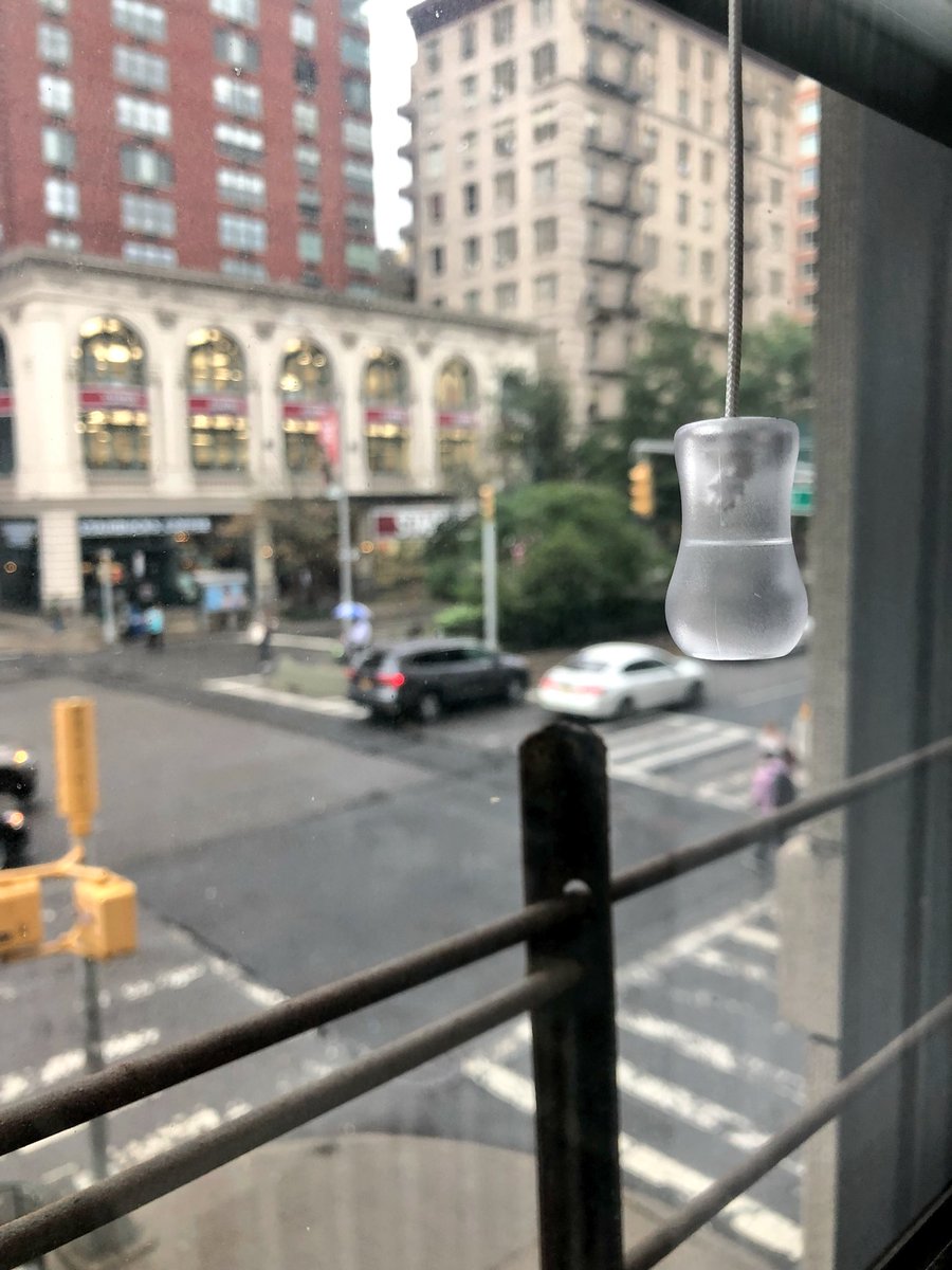 Yogui_Bear's tweet image. #TeamVentana #WindowTeam