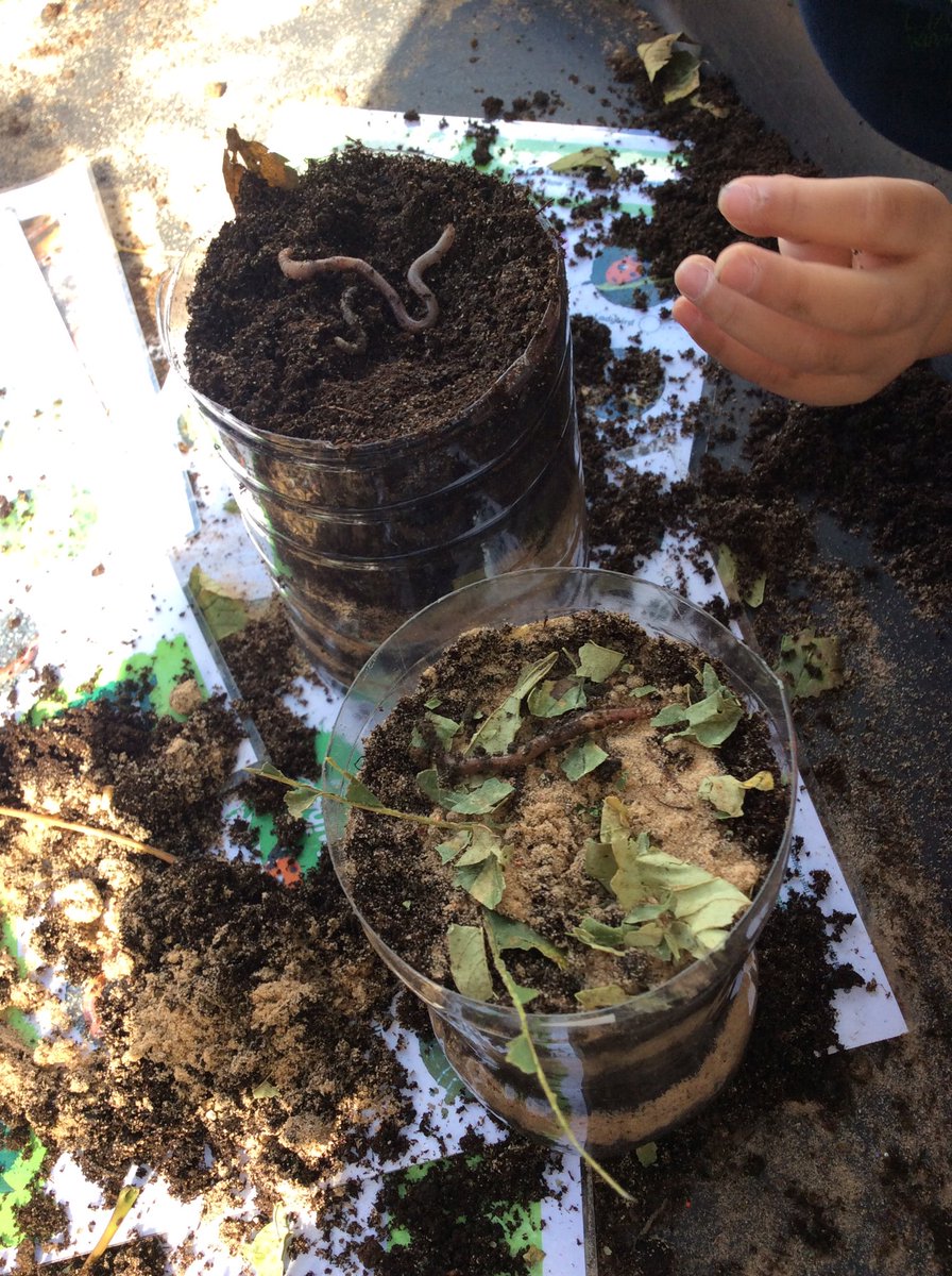 Year4lLTPA22's tweet photo. We have loved making worm farms today and generating lots of questions we want to know about worms! @limetreepa #wormsarecool #outdoorlearning #gettingourhandsdirty https://t.co/fCLE1ly5rt