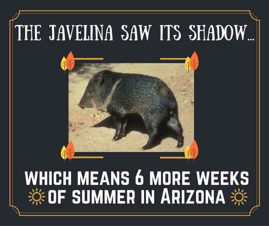 h_scottsdale's tweet photo. That’s about right. #vrbo #homeaway #airbnb #deserttemps #welcometofall https://t.co/9d5JPdnT3G