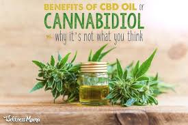 Seminar details: 4. 16.30 – 17.00 CBD Cocktails &amp; More. Hosted by Thomas Aske of <a href="/fluidmoves/">Fluid Movement</a> and the founders of Beyond Alcohol will look at the rise of cannabidiol in drinks and other interesting opportunities that exist with plant-based substances #BBS2018