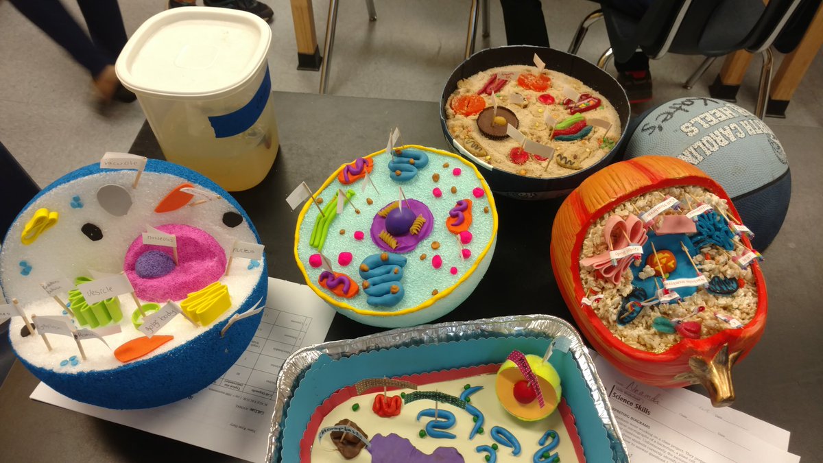 khanlscience's tweet image. One of my favorite days😋 #science   @TriangleDay 7th grade #cellmodel projects