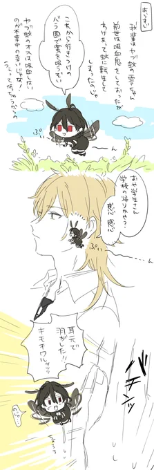 ヤブ蚊の零ちゃん 