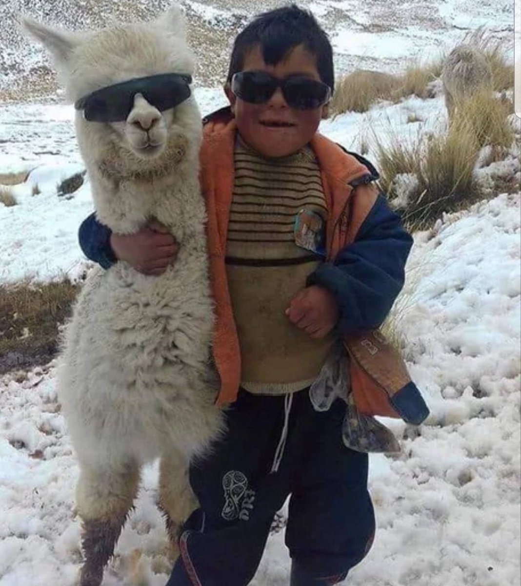 plain_spoke's tweet image. What&apos;s cooler than being cool? Ice cold...
.
.
.
.
#plainspoke #wisconsinmade #cocktails #mondaymotivation #justforfun #monday #icecold