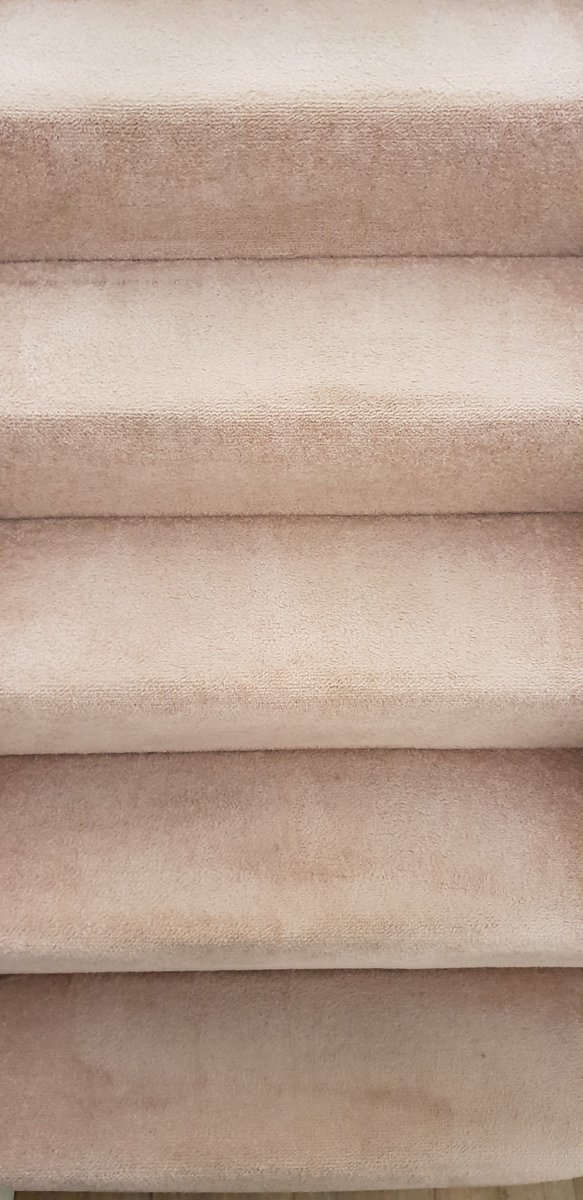 dirty and cleaned carpet on the stairs .