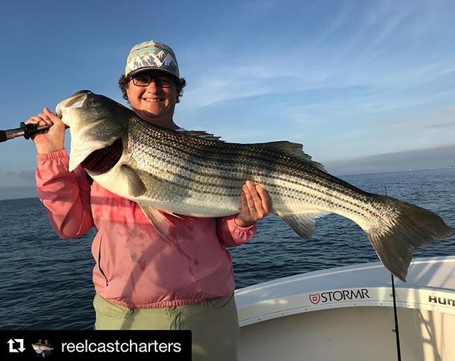 AnglersMusic's tweet photo. Jennifer with a quality daytime bass.  #reelcastcharters #minnkotamotors #minnkota #spotlock #humminbird #humminbirdfishing #humminbirdelectronics #MEGAimaging #stormrusa #fishshimano #suzukimarine #lighttacklefishing #stripedbassfishing #saltlife #fish … https://t.co/kB0mu2fbsv https://t.co/5ogTCEXdCi