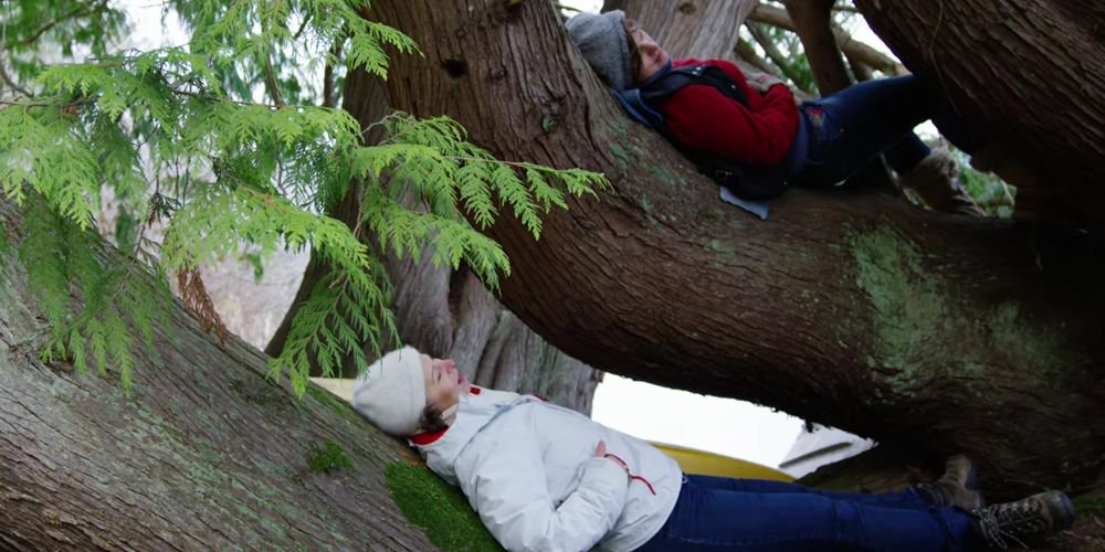 AhimsaMedia's tweet photo. We are an official selection to be screened at the @NZWebFest with our #documentaryseries #NaturallyOurs! https://t.co/NtkfTam2Lk #NZWF18 #NaturallySaltSpring #webseries https://t.co/g9ea3Mz18M