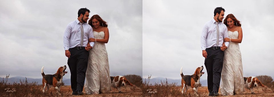 fotorefine's tweet photo. Fotorefine is post production photo editing services provider ,
we are very expert in wedding retouching even more
· Head shoot Retouching
· Model Retouching
· realsted Retouching
· product Retouching
· Image Retouching
· Image Masking
visit our web;
https://t.co/JtQO2cUl6f https://t.co/ByGwwnIKmO