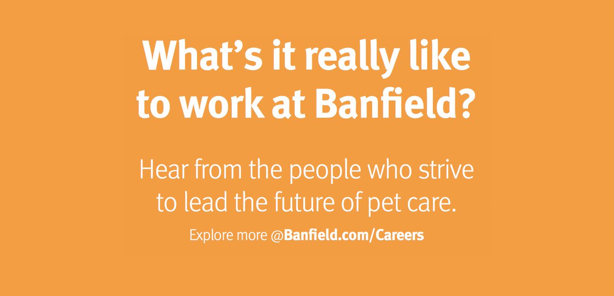 viralvet's tweet photo. What's it really like to work at #Banfield? Hear 👂from the people who strive to lead the future of pet care. 

👉https://t.co/YYSy1q4Pj4

#ViralVet #Veterinary https://t.co/RiZQ3Ir7qk