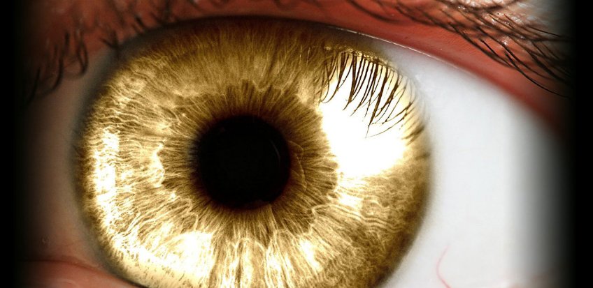 IRIS has been applying #GPU-powered #deeplearning and Microsoft <a href="/Azure/">Microsoft Azure</a> Machine Learning Services to provide early detection of diabetic retinopathy and prevent patients from losing their eyesight. nvda.ws/2MVdE40