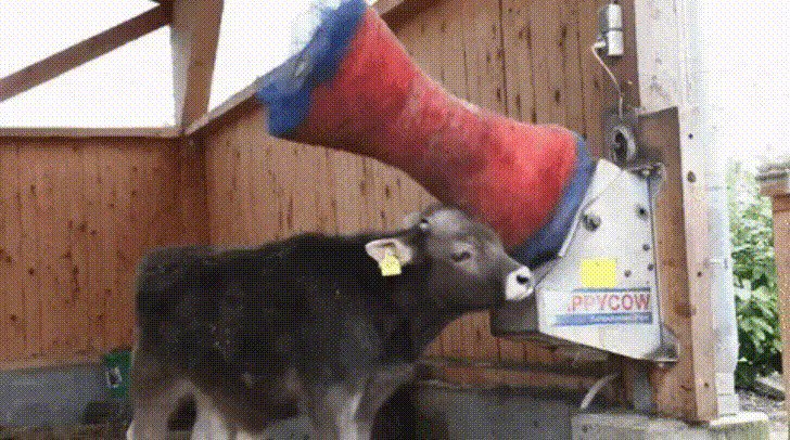 Analysts: BTC will hit $14K by year end.

Traders: Crypto bull run is coming. I better scratch that bear sent off. 

And just like that, we started talking about the Moon and Lambos.

Link to analyst forecasts (kryptoloop.com/ProfileCompany…)