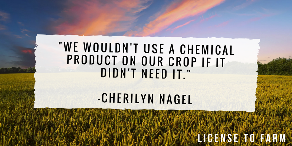licensetofarm's tweet image. Inspiring quote from @CherilynNagel in #LicenseToFarm! licensetofarm.com