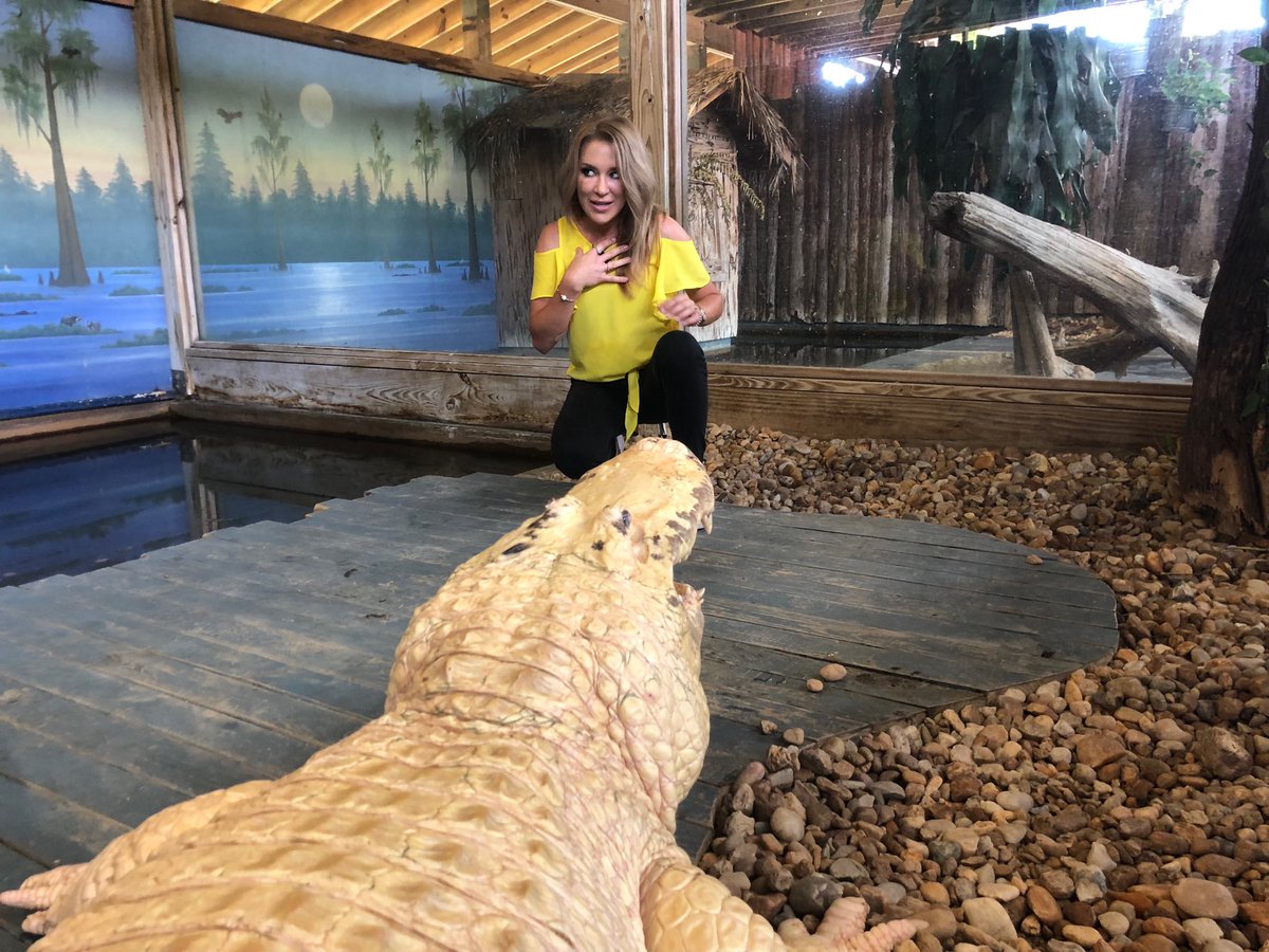 AllisonWalkerTV's tweet photo. Um, so you mean we should not be on this wood part? @MyNews13 @BN9 @Gatorland #trainerforaday https://t.co/cetRxsqGnu