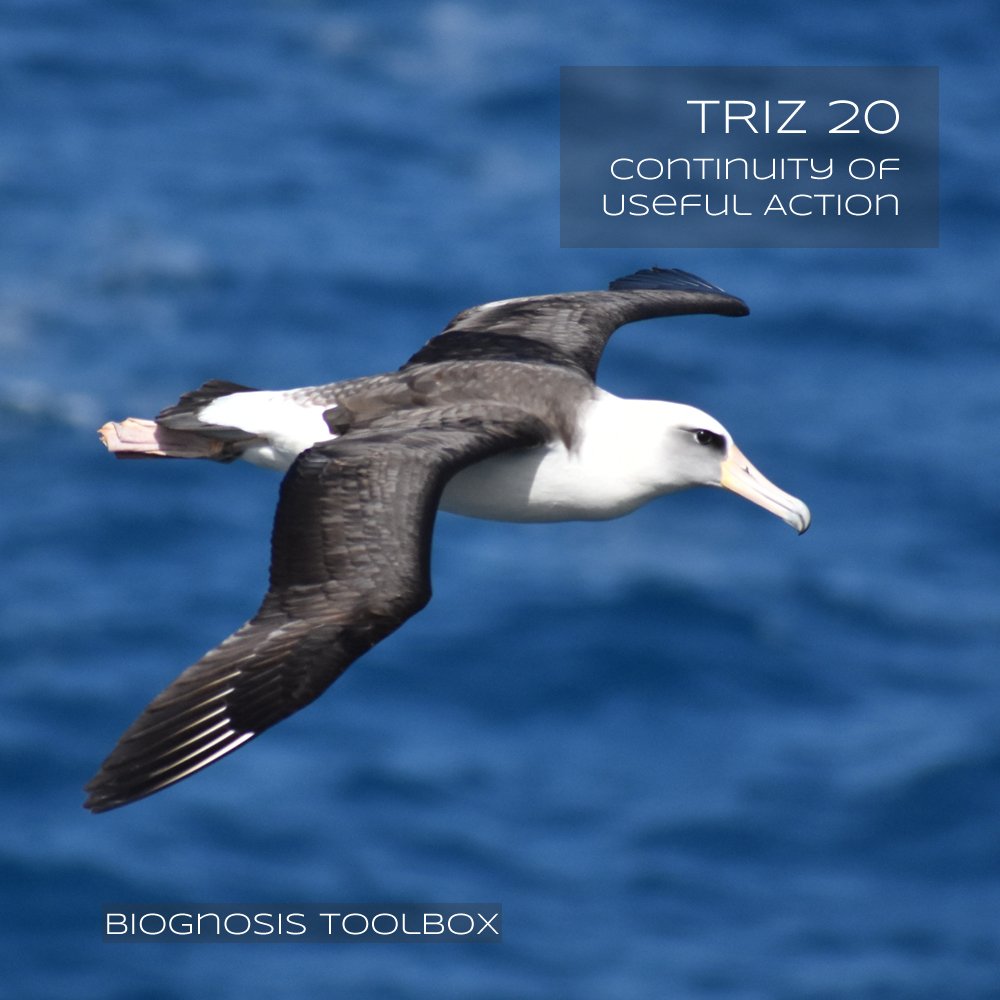 kreaWERFT's tweet photo. Here's another #biological paragon in meeting #technical #challenges - the #albatross.
The #TRIZ #InventivePrinciple "Continuity of Useful Action" is i.a. suggested to enhance #productivity without the need for more #power.
Voila - #dynamic #soaring. Very cool tech imho 👍 https://t.co/HJkXovcPFb