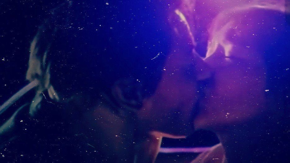 dxmoan's tweet photo. tamis #THOUWeek4ThankYouPo https://t.co/92ns7fK6Ar