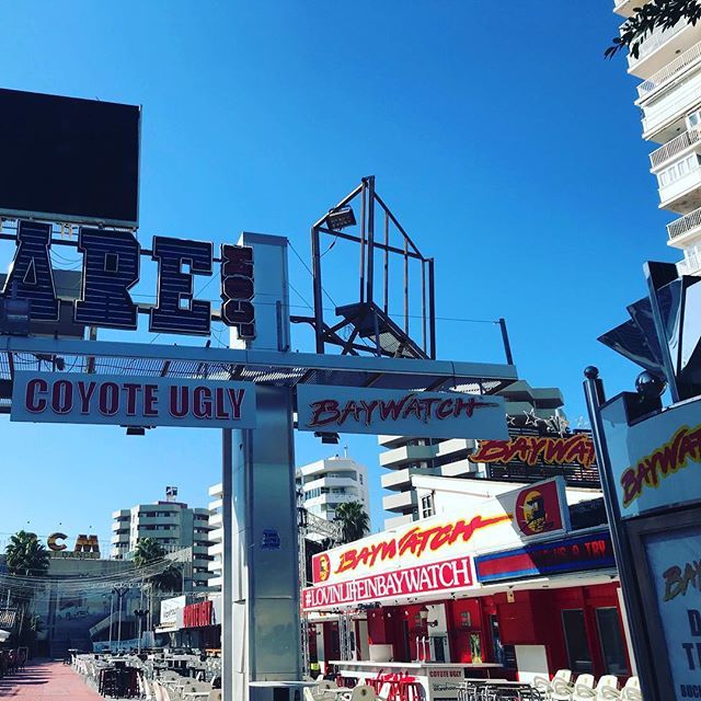 Tom Carwardine tweet media