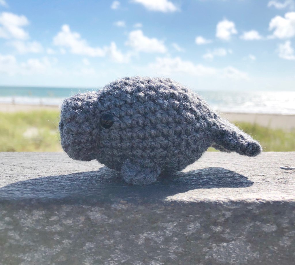 craftysurf's tweet photo. Chunky Little Manatee https://t.co/EpFpZsBwWB https://t.co/RuKFZlYUTM