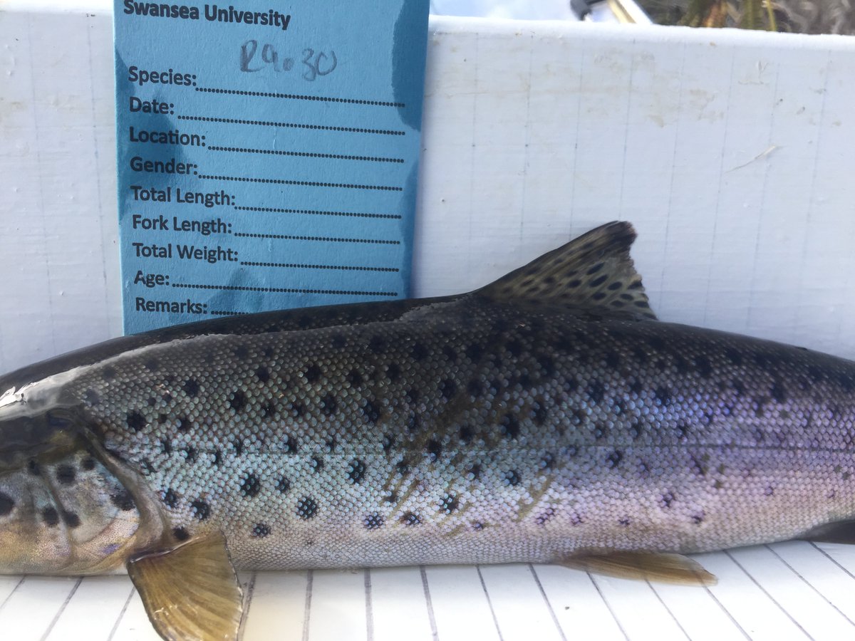 Dr Jess Minett tweet media