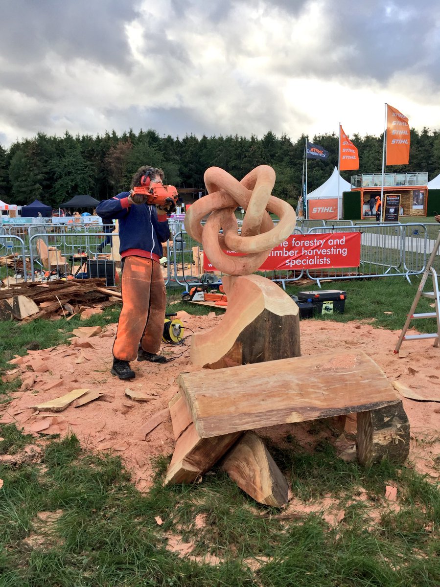 Some of the amazing chainsaw carving at the #APF2018 - I particularly liked the beaver one ... #forestproud
