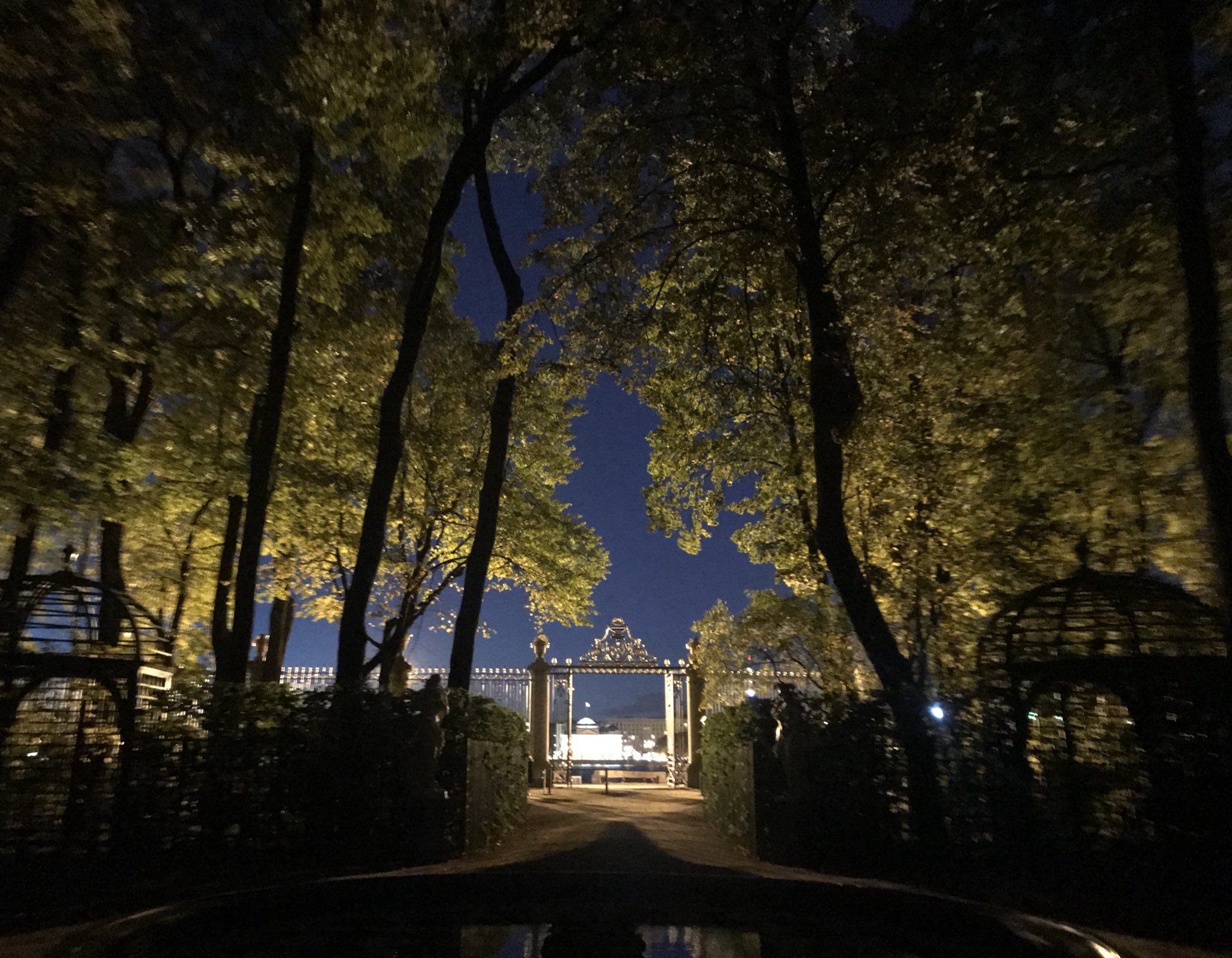 Ночной Санкт-Петербург летний сад