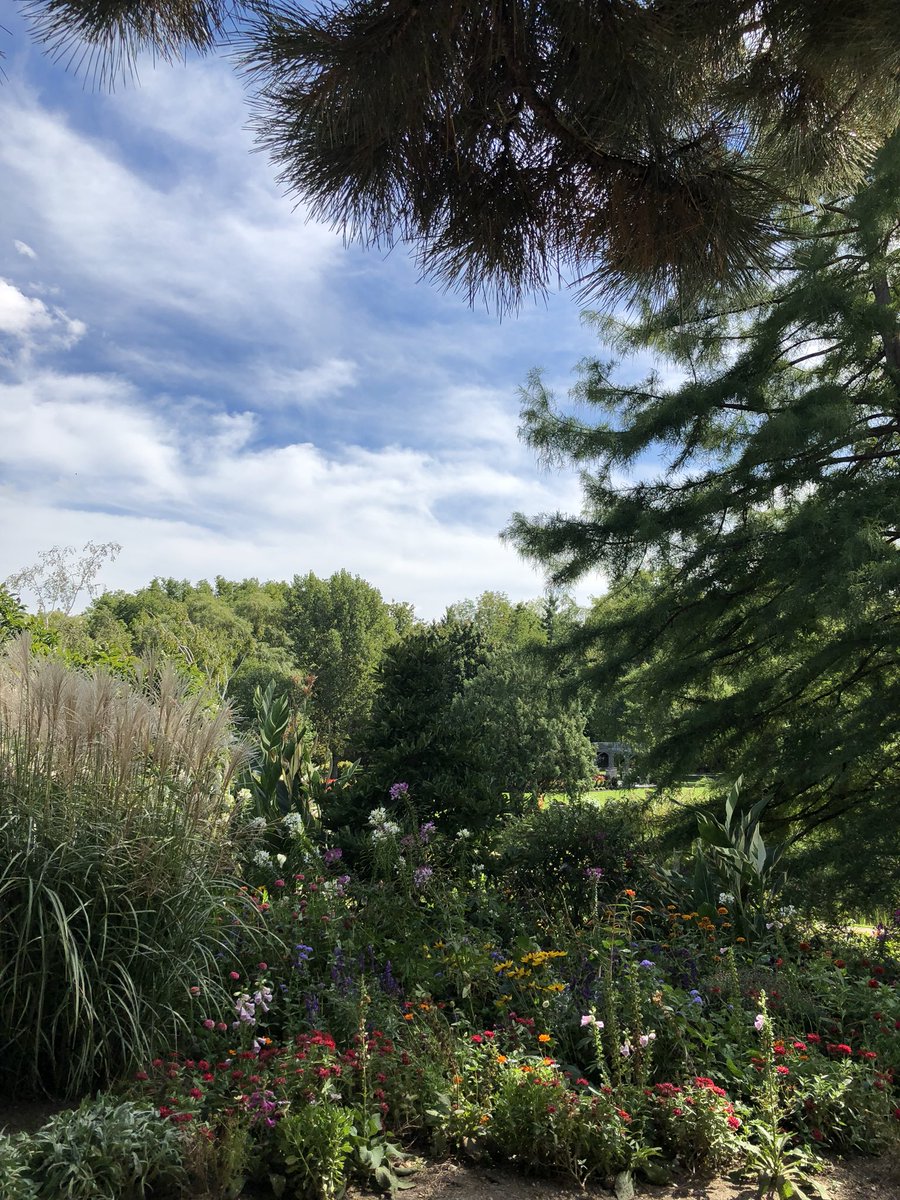 nivdev's tweet photo. Humber is stunning. #beautyviews https://t.co/Al8NadUDyJ