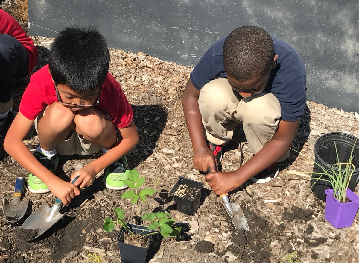Champaign Schools On Twitter Unit 4 Students Are Preserving The