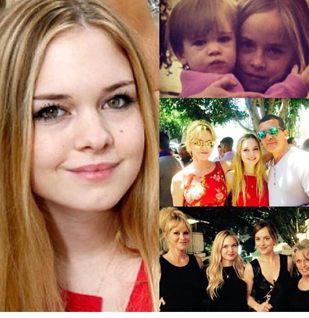 Happy birthday to stella banderas congratulations     