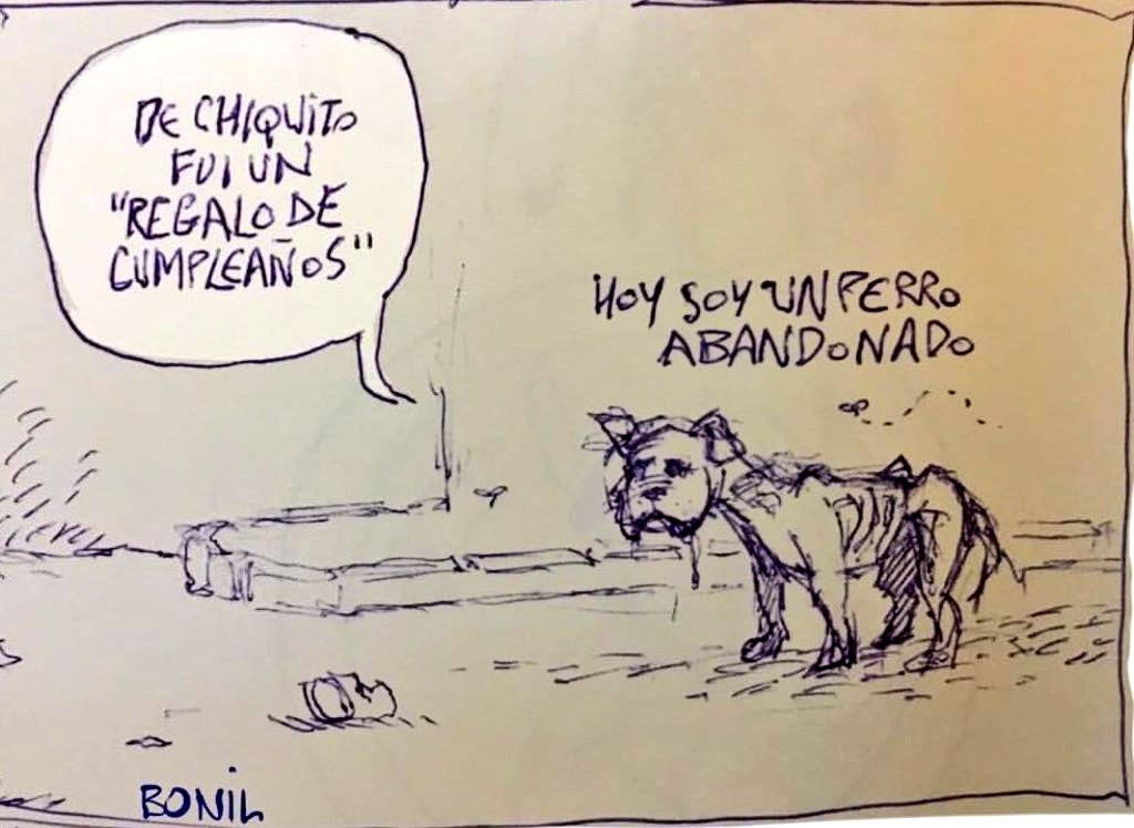 incondic_peru's tweet photo. NO SON PELUCHES!🤨
Tienen vida y sienten, respetemos a los animales. Cuidemos su integridad y salud, no los abandonen.
#DemuestraTuAmor
#NoLosAbandones https://t.co/EXM6qscX7W