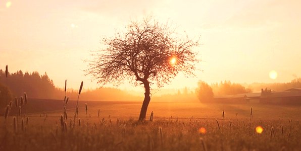 7 Common Air Contaminants and Their Impact on Your Health bobjenson.com/blog/7-air-con…