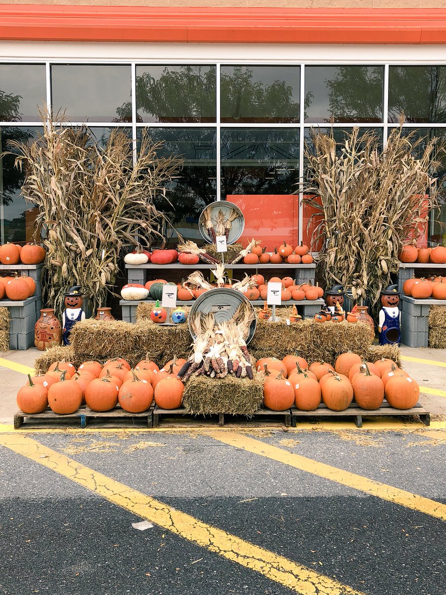 AmillerBell's tweet photo. What a beautiful fall harvest display! Teamwork makes the dream work in 4131! Thank you for your hard work Tammy and Wendy!! @WendyRyder14 @AprilleDowns @D_Liberato1 @HLK1126 https://t.co/Hi8lIAGBGN