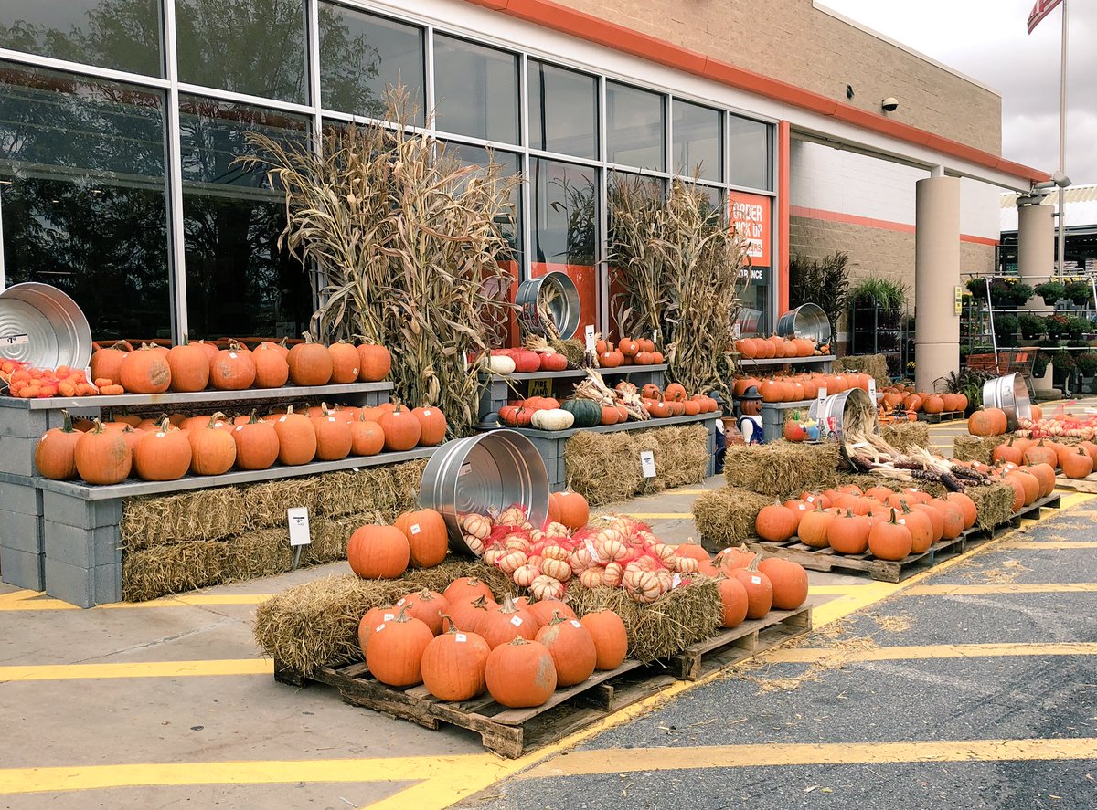 What a beautiful fall harvest display! Teamwork makes the dream work in 4131! Thank you for your hard work Tammy and Wendy!! @WendyRyder14 <a href="/AprilleDowns/">Aprille Downs</a> <a href="/D_Liberato1/">Debbie Liberato</a> <a href="/HLK1126/">Holly</a>