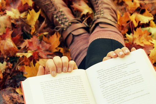 BayonneTitleOne's tweet photo. Pick up a good book and enjoy this beautiful fall weather! #BBOED #fallisintheair https://t.co/l0MgsNhXoP