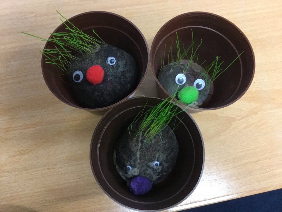 ApplegarthAc's tweet photo. Check out the wonderful grassheads made by the Yr2 pupils! I wonder what facts they’ll discover during their scientific experiments this term. #empower #ApplegarthPRIDE #aspire @thesteptrust https://t.co/paIBDa2niu