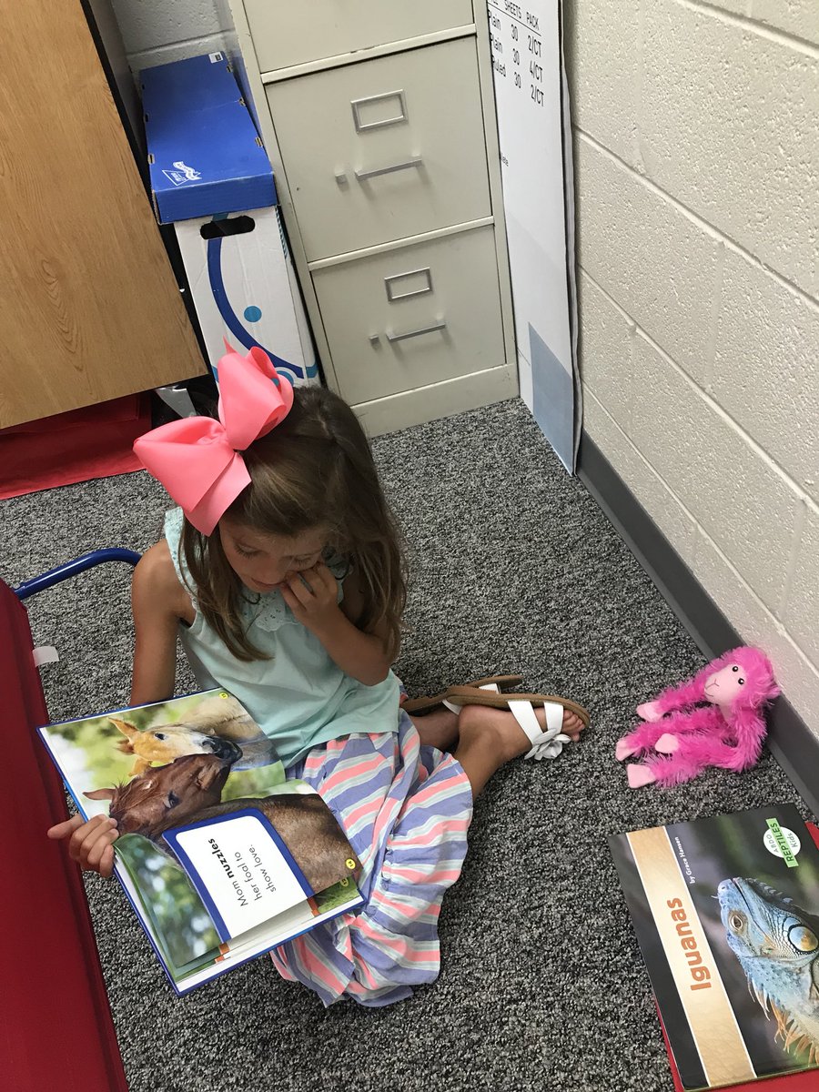 mcjones0626's tweet photo. W.E.B. time 🕷🕸❤️📚 #WeEnjoyBooks https://t.co/IfkjD8YfF0