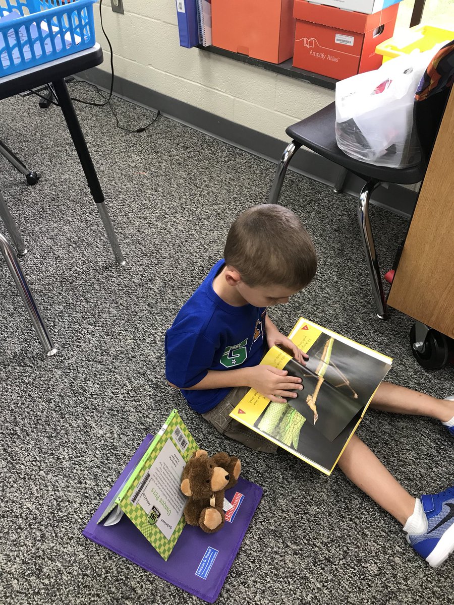 mcjones0626's tweet photo. W.E.B. time 🕷🕸❤️📚 #WeEnjoyBooks https://t.co/IfkjD8YfF0
