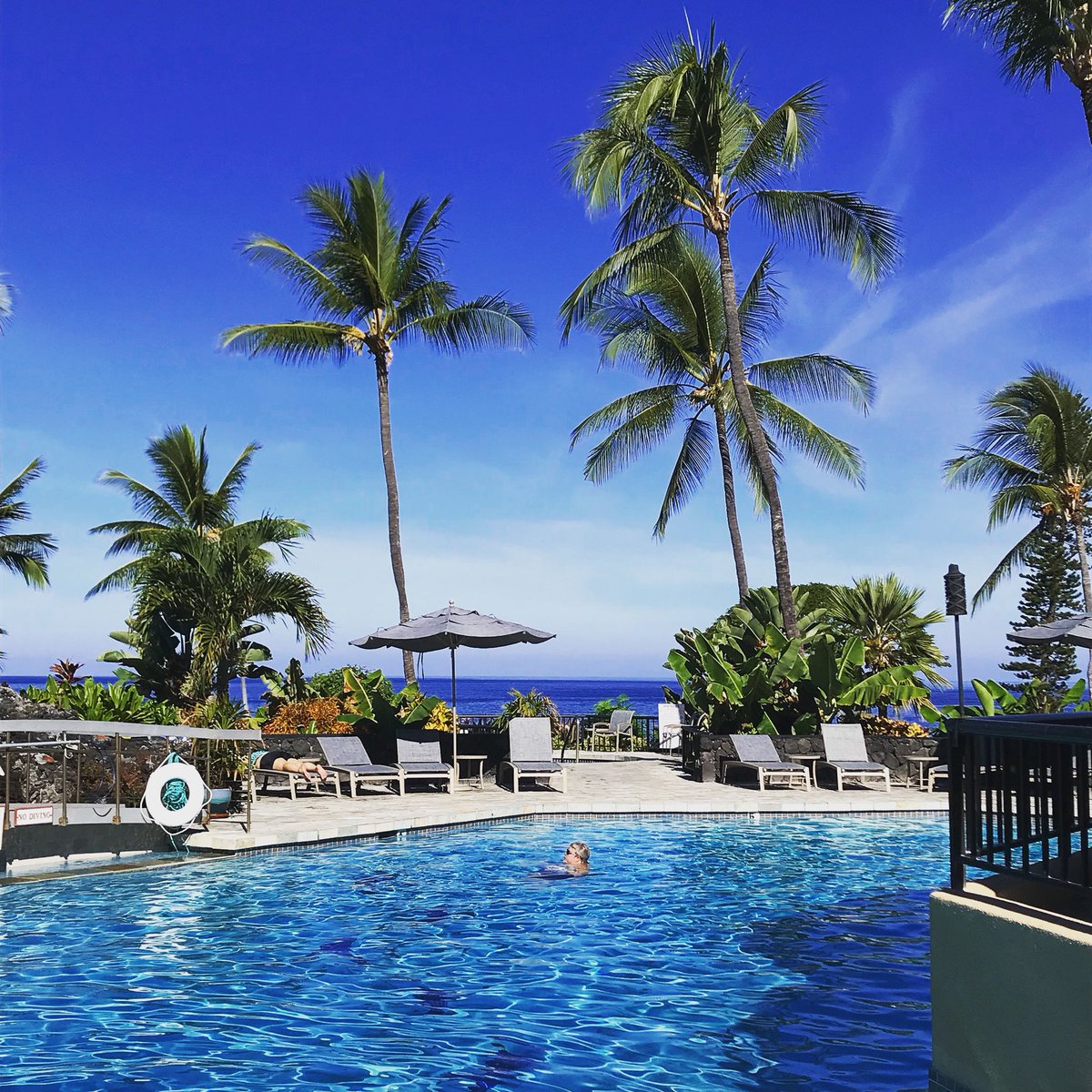 Robert_Leather's tweet photo. Monday’s are hard! #MondayMotivation #hawaii https://t.co/y8XGDKmQbv
