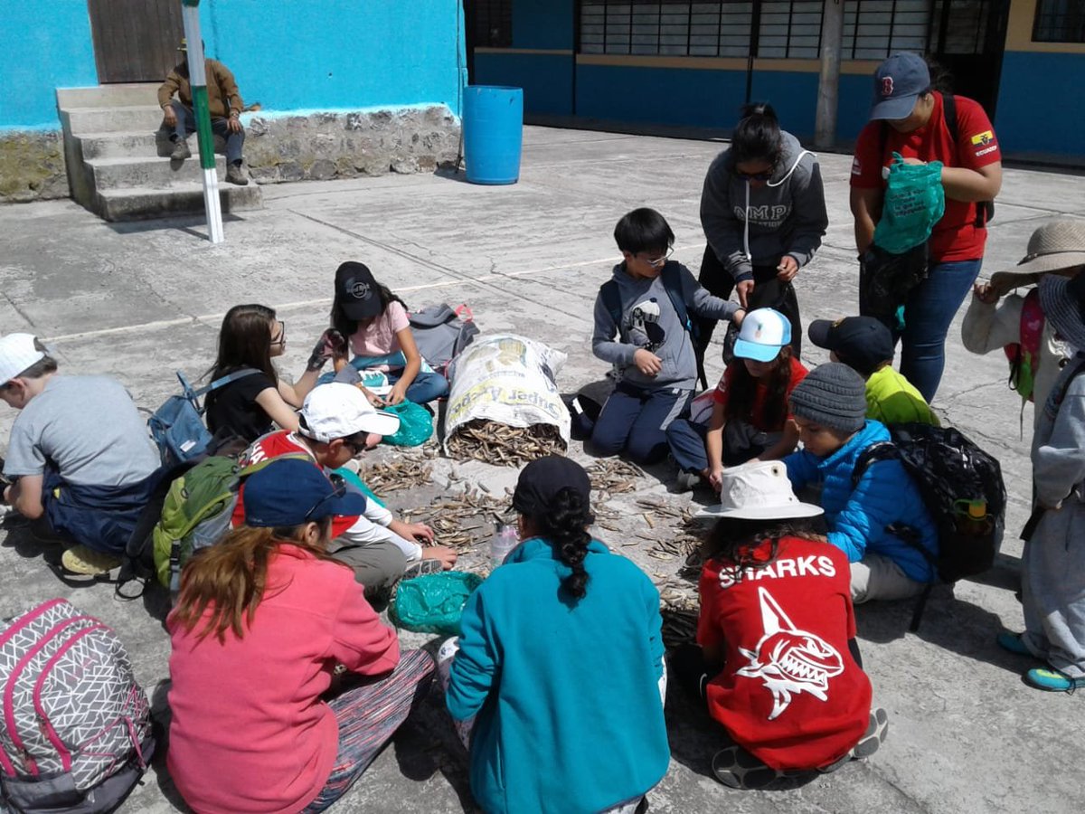 CampEcuador's tweet photo. #TeamGrade6th at #CampKuriKucho harvesting chochos as part of #projectwork , these means a lot to the local community, enjoy this incredible experience!ππ#DoSomethingAmazing #CampsEffect @CampsInt @acotopaxi https://t.co/Gcsvclgnfg