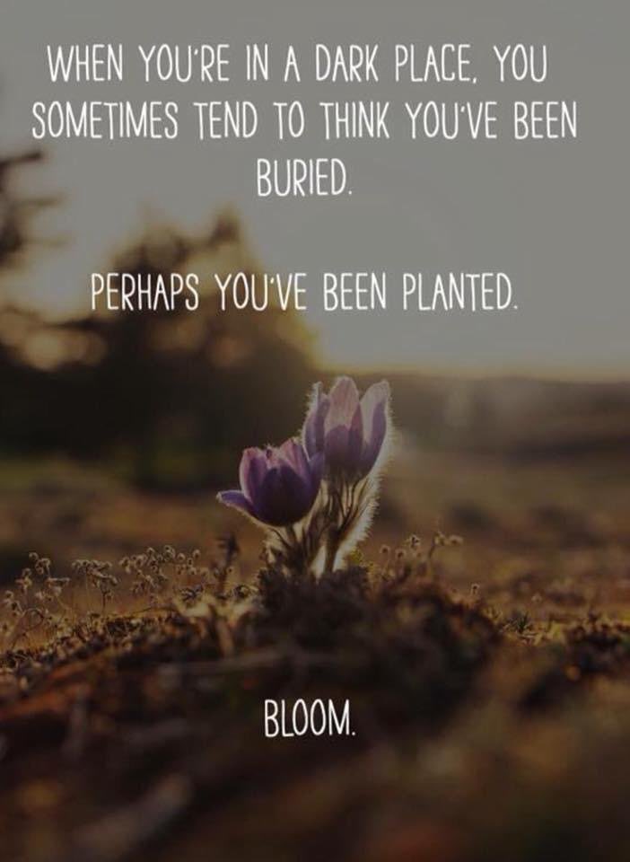 Peter Hall tweet media