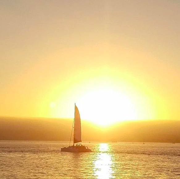 Make today beautiful! 😁 🌻#SeaportVillage #VisitSeaport 📸: @miltonser