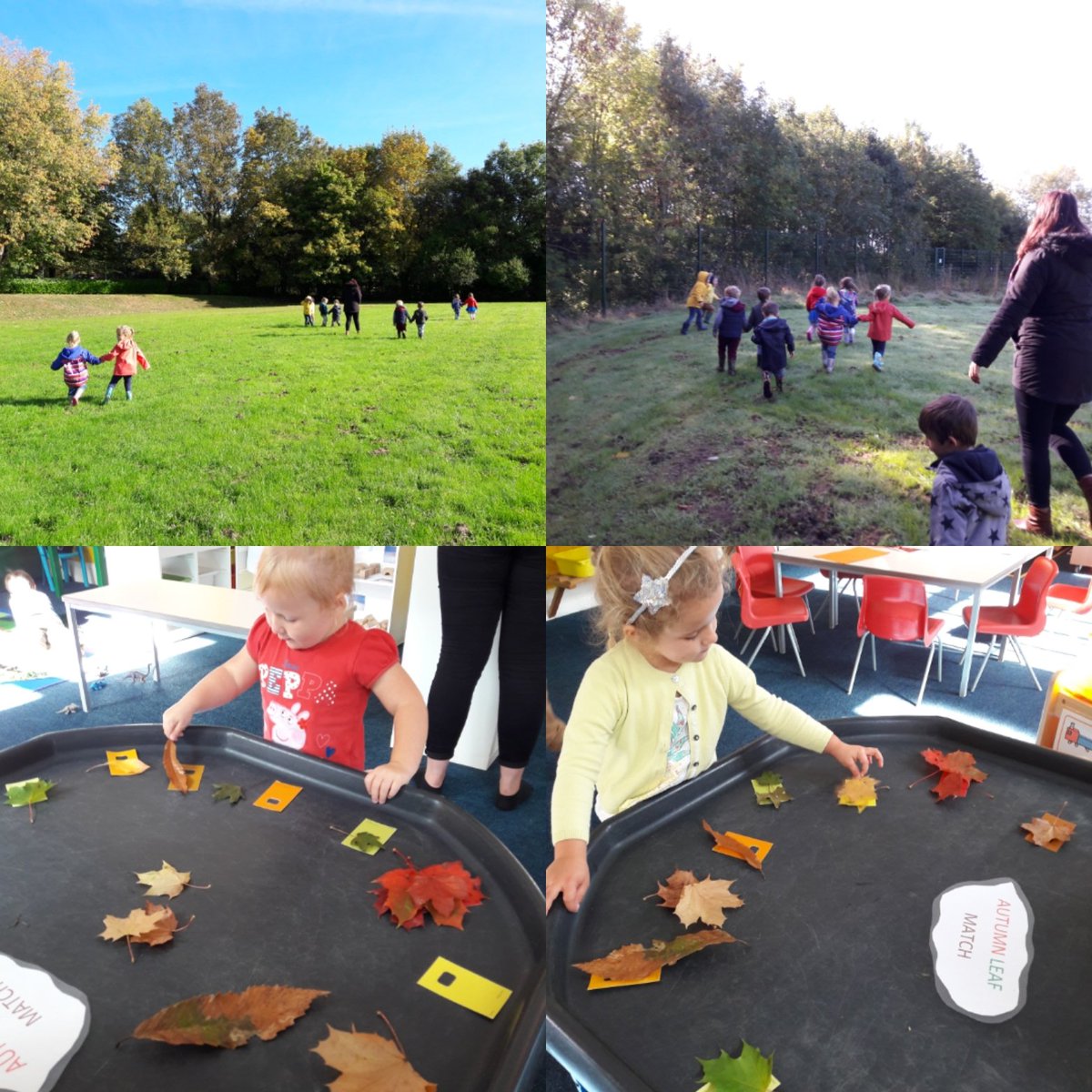 Collecting Autumn leaves on our walk this Morning. Perfect for our colour matching game #seizetheseason #easfpteam #nursery #earlyyears