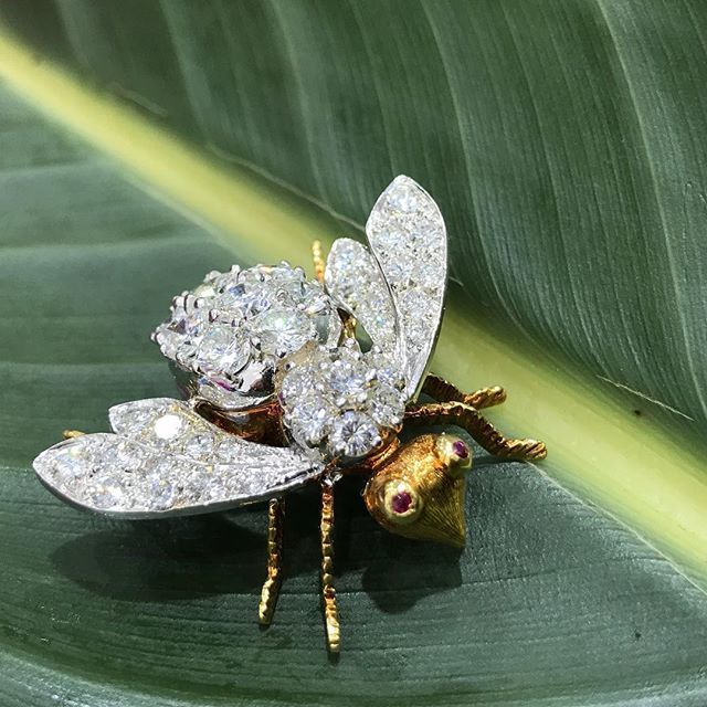 ChantelMarie712's tweet photo. Don’t worry, Bee happy! 4+ carats of diamonds and rubies buzzing around the Naples I store! #FindAJewelerYouTrust #GIAgemologist #fashion #beautiful #instajewelry #ProvidentJewelry #Naples #Florida #SWFL # iLiveWhereYouVacation #555girls #RedefineLuxury … https://t.co/ZbjtMhia6S https://t.co/K9JSNd9sSh