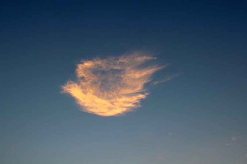 The Weather Network tweet media