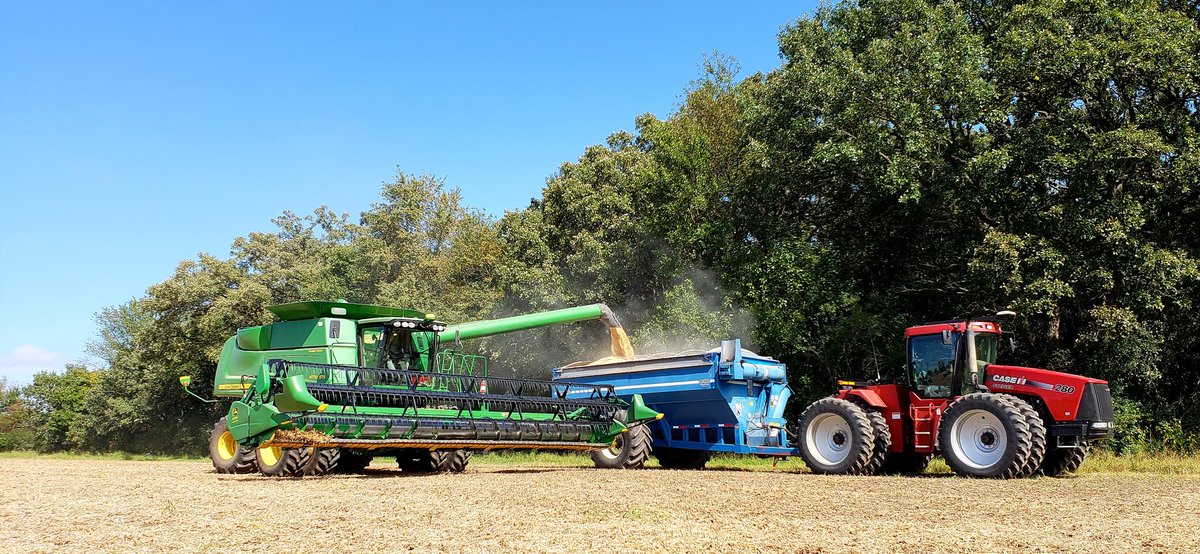 MAavang60's tweet image. Beautiful day in northern Illinois to kick off #Harvest18! These food-grade soybeans will be exported to Asia. #TradeNotTariffs #TradeNotAid