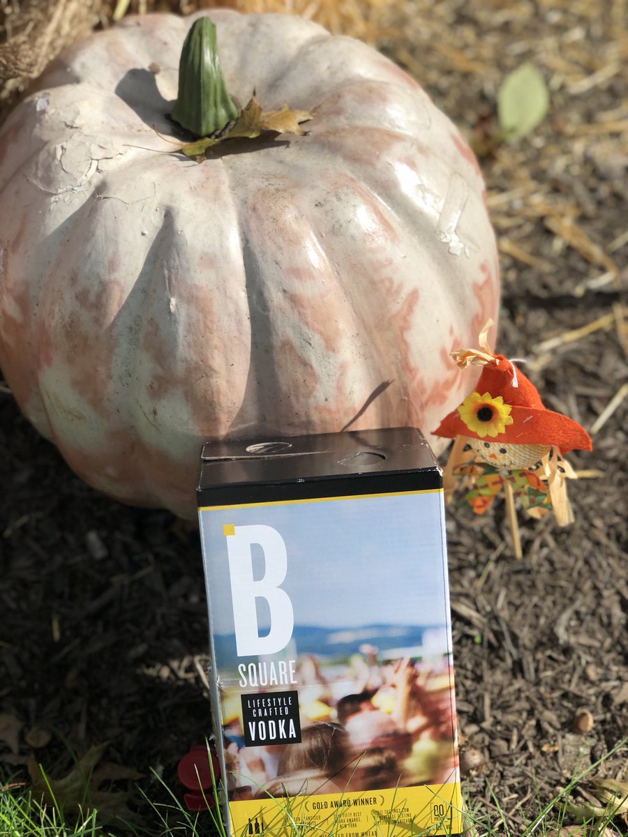 redlipdiaries11's tweet photo. Vodka &amp; Pumpkin Spice makes the Fall taste nice !! #drinkoutsidethebox #bsquarevodka #siggpay 
@bsquarevodka 
@siggpay https://t.co/dWyG35QBPG