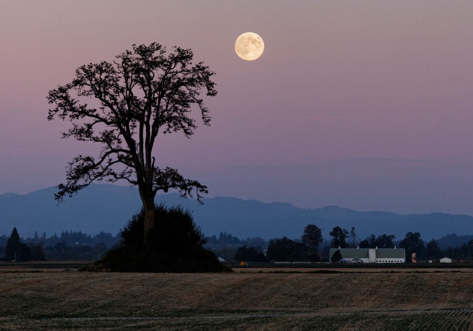 Oregonian's tweet photo. Tonight's your chance to see the Harvest Moon in Oregon https://t.co/m5nBfNh6WI https://t.co/kyFIQpZQ3v